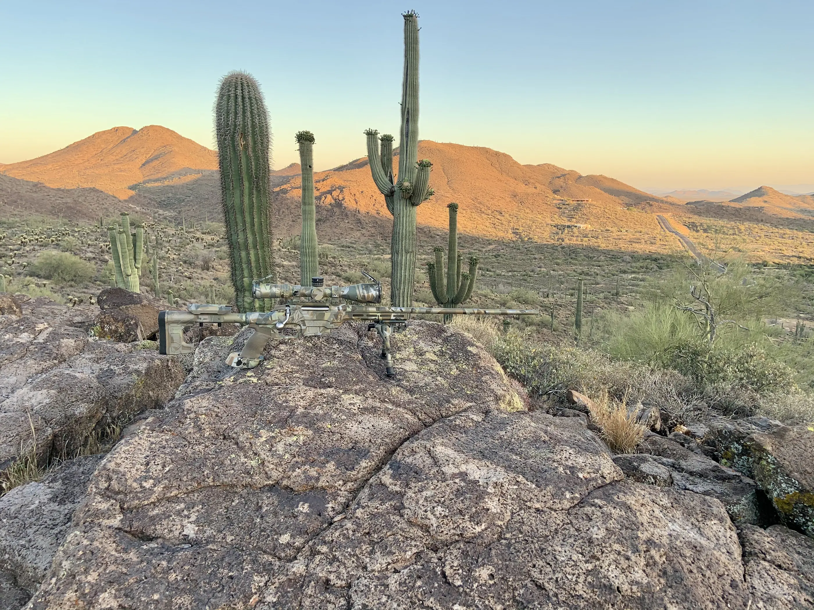 Carnimore custom build showcasing expert craftsmanship and professional finishing services in Phoenix, Arizona